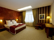 Fotografia 2 di Hotel Gott Brasov
